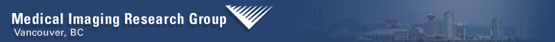 MIRG logo